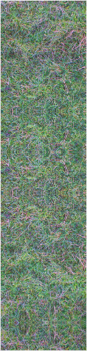 Acid Grass