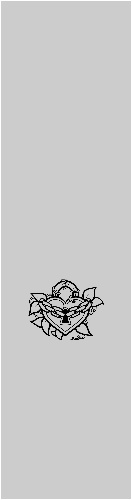 Design 505258